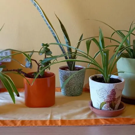 Horizonview Plakes Ermoupoli